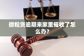 防城港企业清欠服务